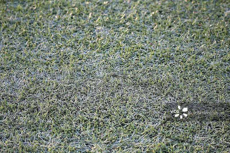 人造草坪表面使用的微塑料合成纤维图片素材