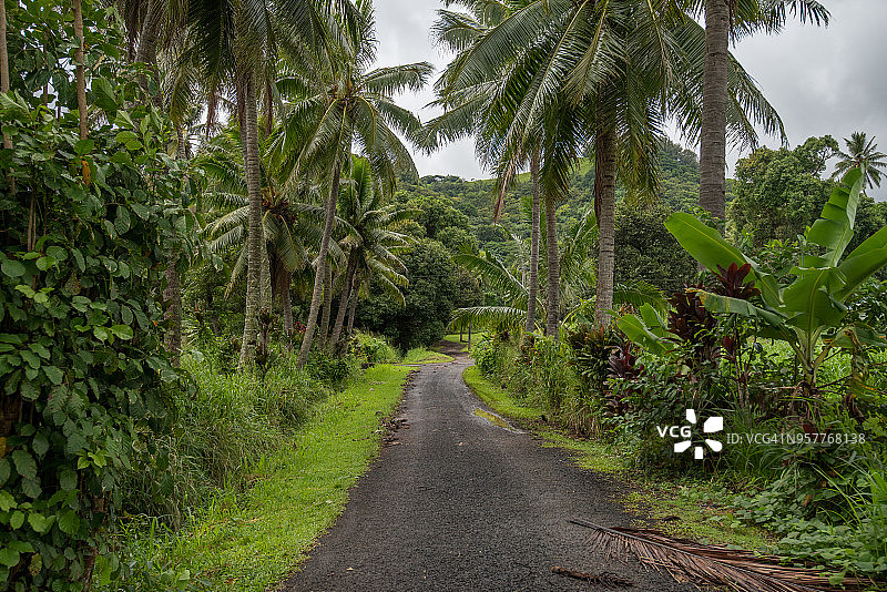 库克群岛拉罗汤加岛的乡村公路图片素材