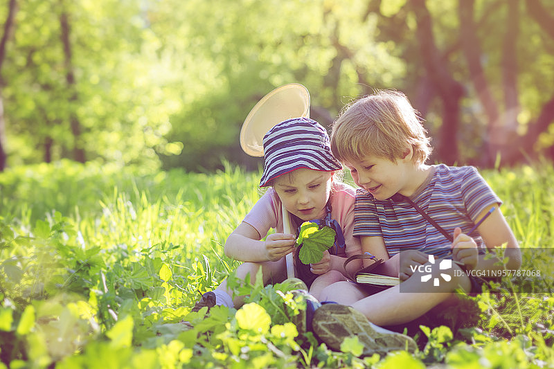 探索自然的小小探险家图片素材