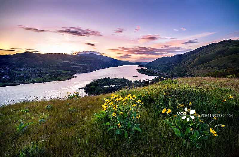 俄勒冈州罗威纳山脊 viewpoint 的美丽日出和野花图片素材