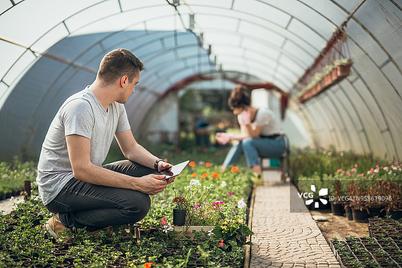 团队合作走向成功图片素材
