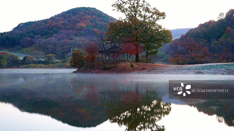 清晨的水雾图片素材