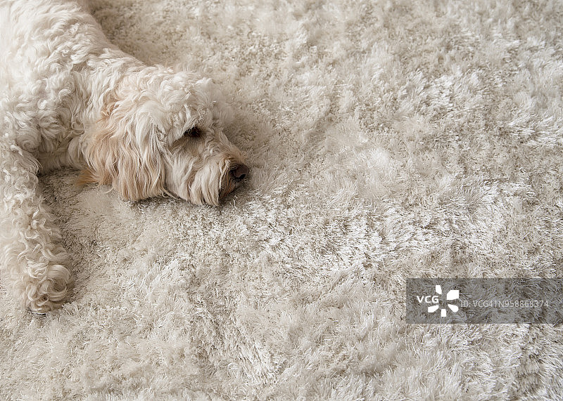 在地毯上放松图片素材