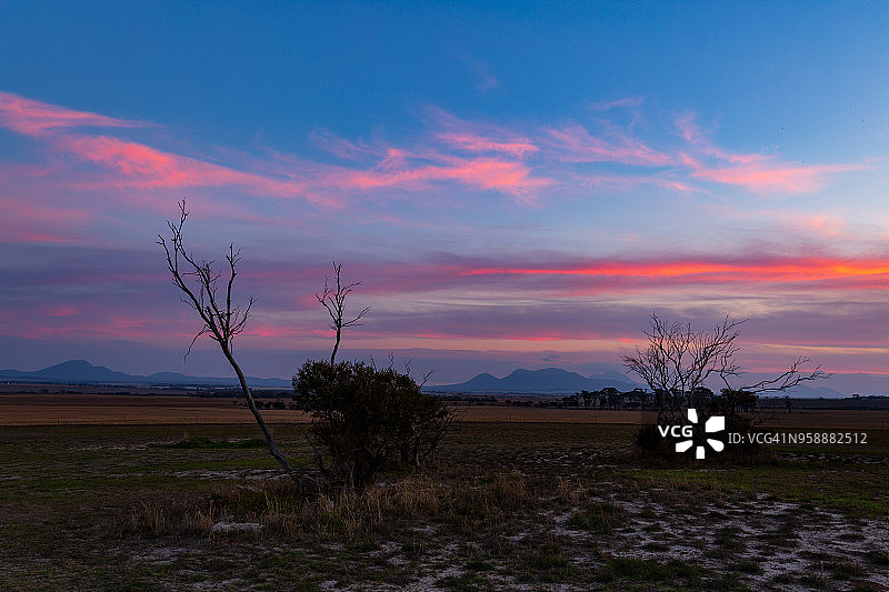 粉色日落下的树木轮廓-斯特灵山脉-澳大利亚西部图片素材