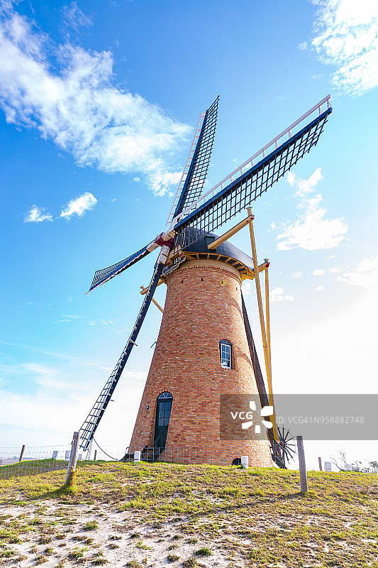 百合花-荷兰风车-斯特林山脉，阿梅鲁普-西澳大利亚图片素材