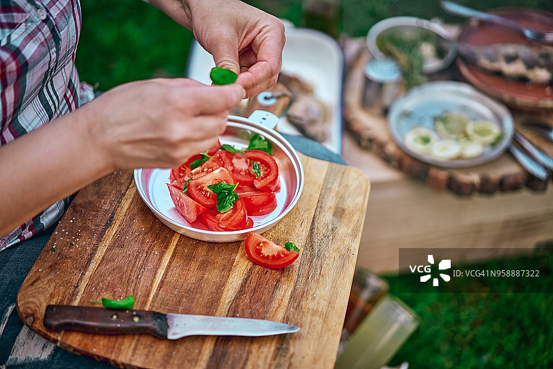 户外野餐用柠檬烤鱼配番茄沙拉图片素材