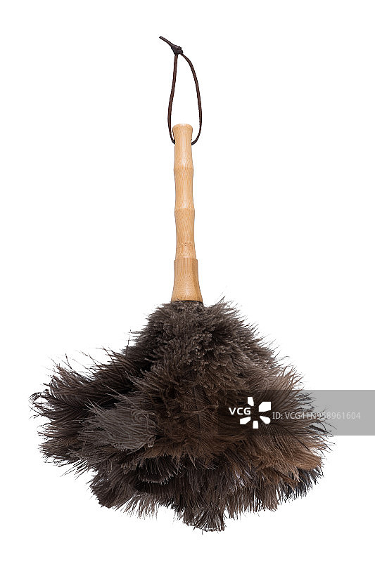 鸵鸟毛掸子图片素材