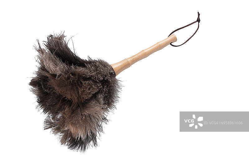 鸵鸟毛掸子图片素材