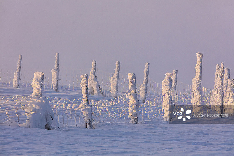 拉普兰的冰冻栅栏，芬兰图片素材