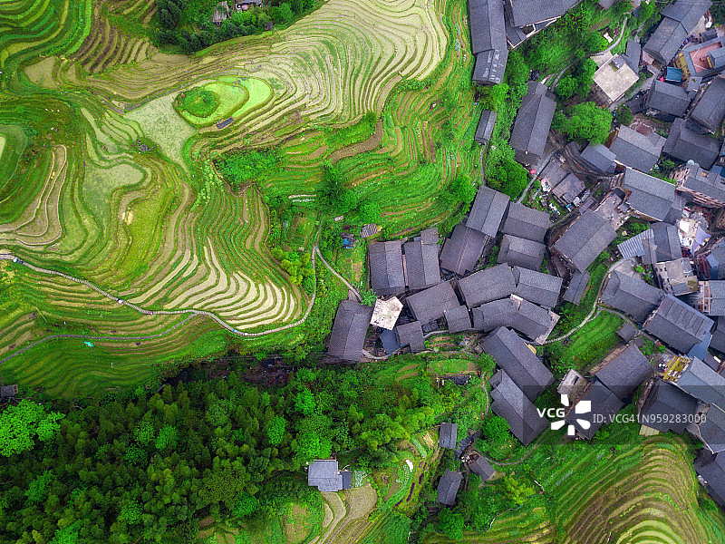 无人机视角下的龙胜梯田图片素材