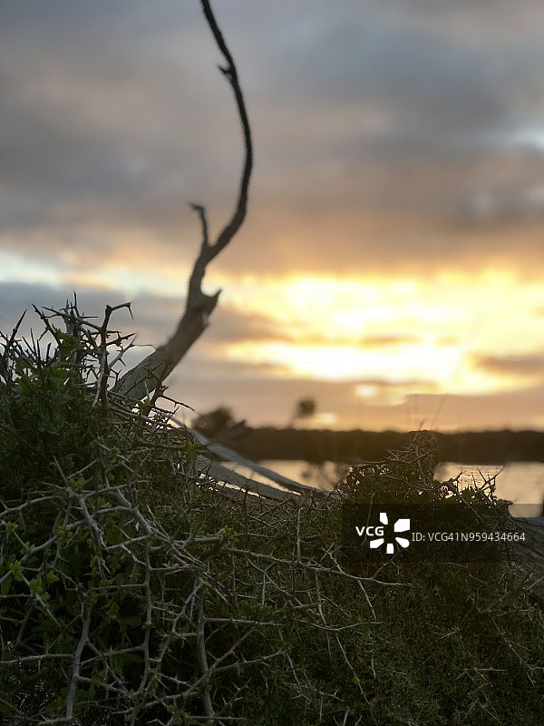袋鼠岛鹈鹕泻湖的日落图片素材