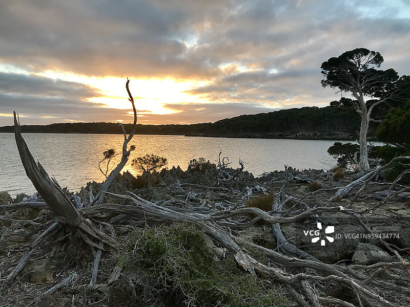 袋鼠岛鹈鹕泻湖的日落图片素材