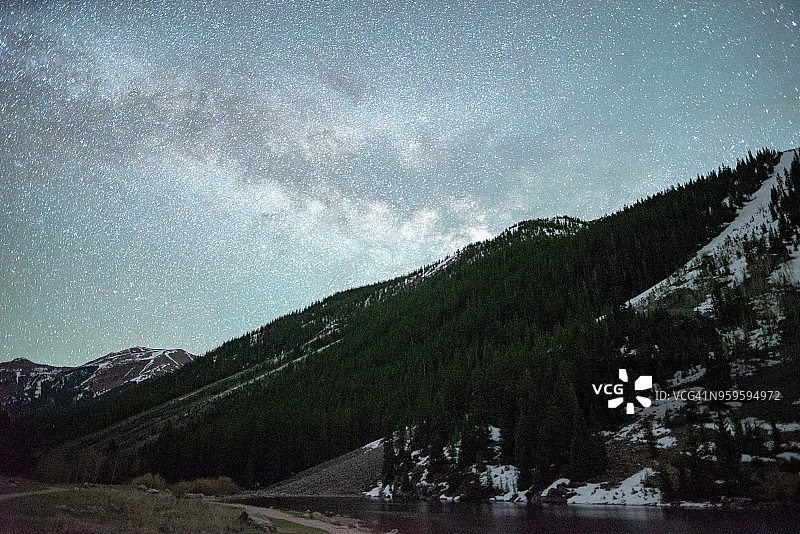 白杨树与银河图片素材