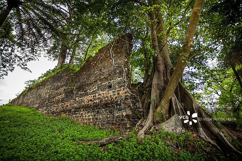 塞拉利昂西非的永戈罗图片素材