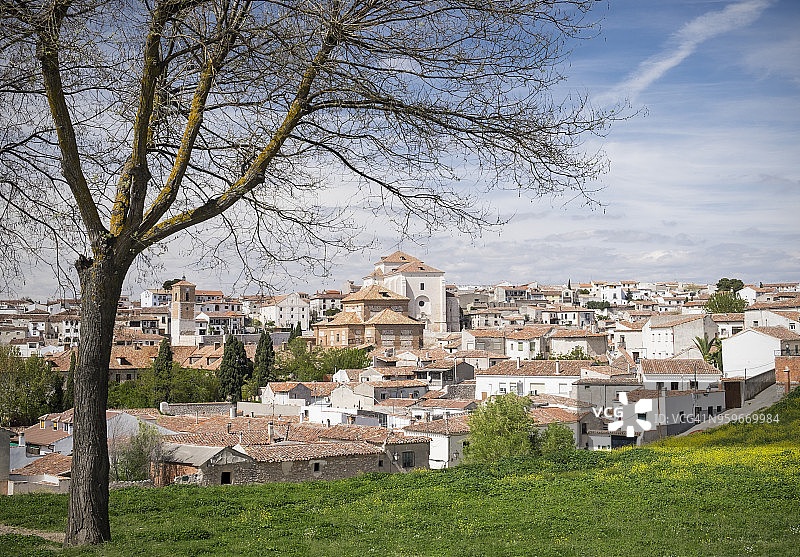 钦琼景色与树木图片素材
