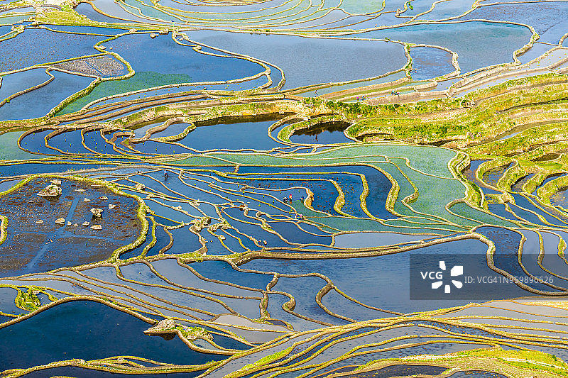 春季梯田和在梯田里劳作的人们图片素材