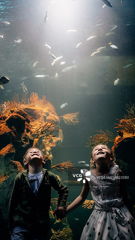 年轻的爱图片素材