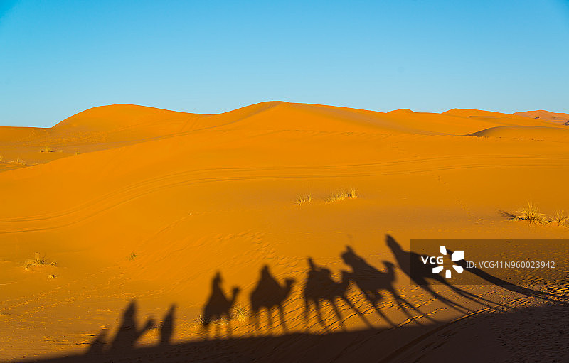 摩洛哥梅尔祖卡撒哈拉沙漠中的骆驼影子图片素材