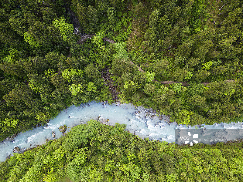 绿色春季森林中的激流河（施泰尔，上奥地利）图片素材