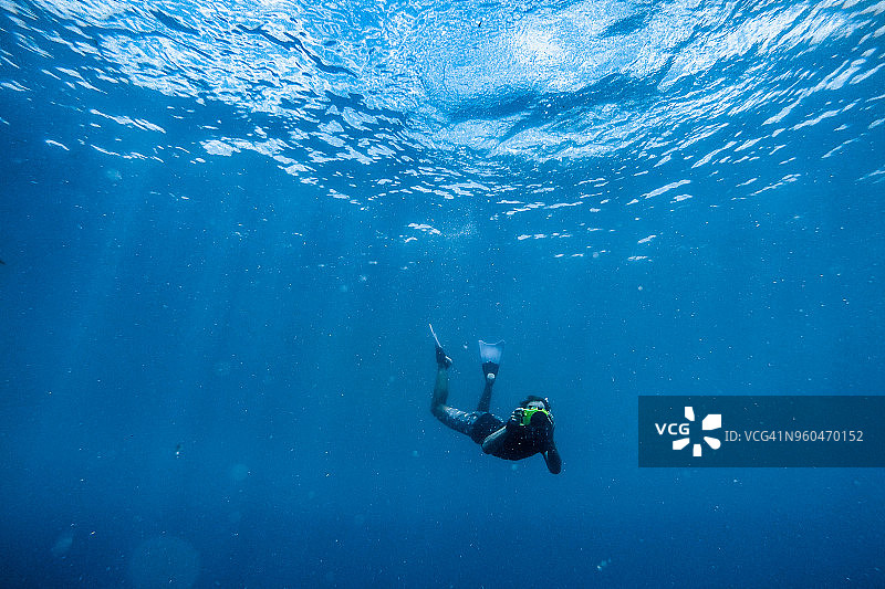 水下摄影师自由潜水图片素材