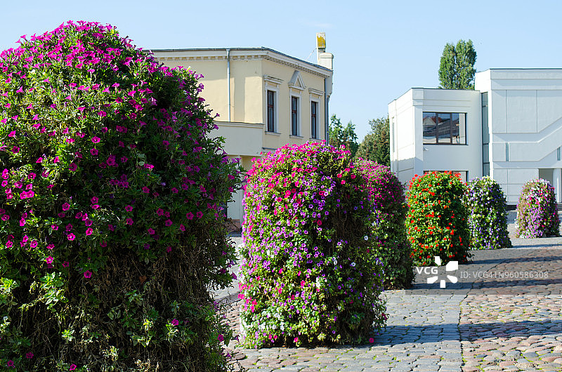 立陶宛克莱佩达图片素材