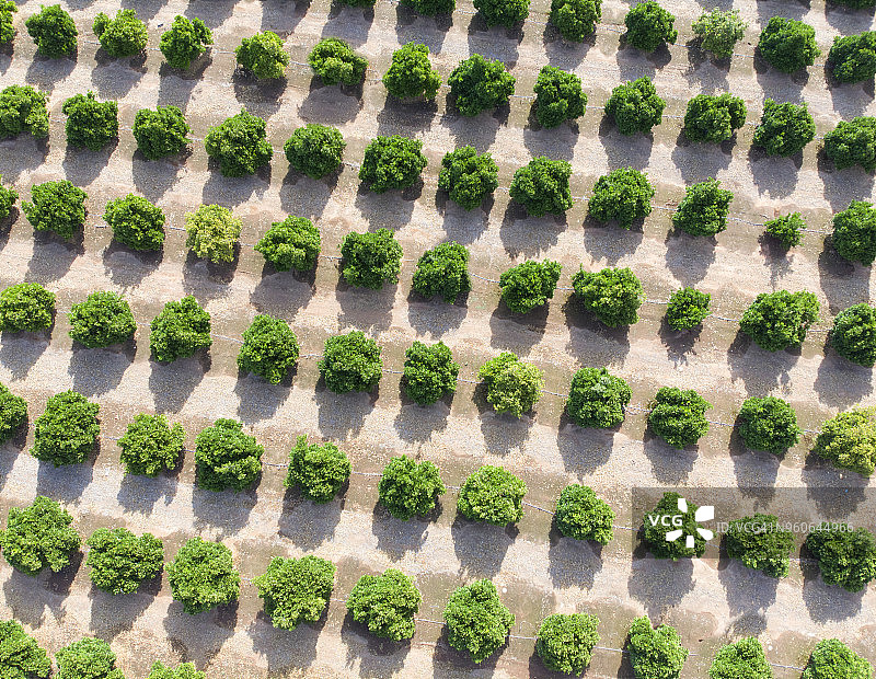 66号公路的无人机概览图片素材