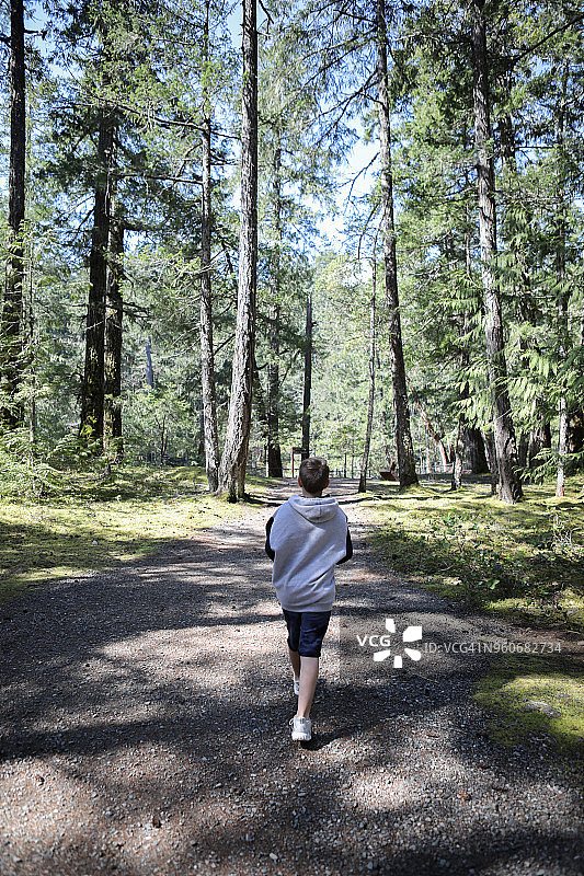 父子穿行于大教堂树林图片素材