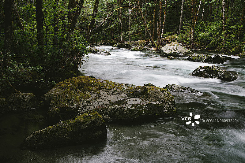奥林匹克国家公园索尔杜克河森林风光图片素材