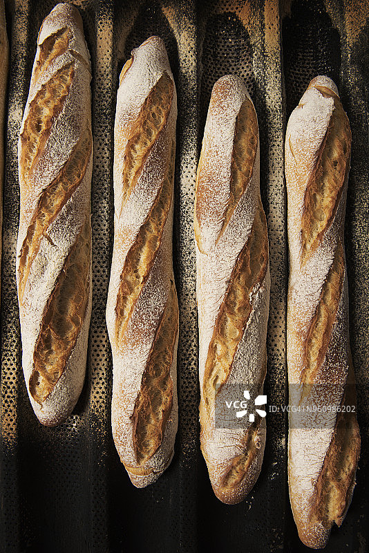 冷却架上的面包棒俯视图图片素材