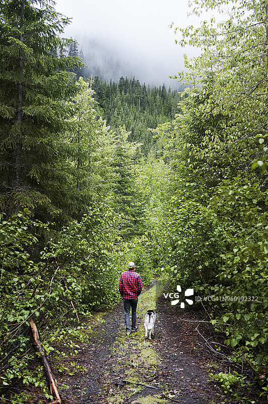 男子在森林里遛狗图片素材