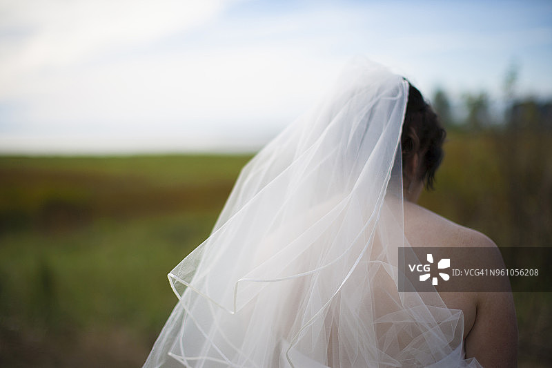 站在田野上的新娘背影图片素材
