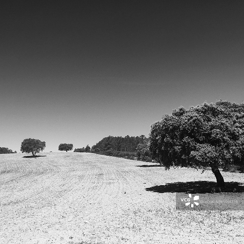 拉曼查乡村风光图片素材