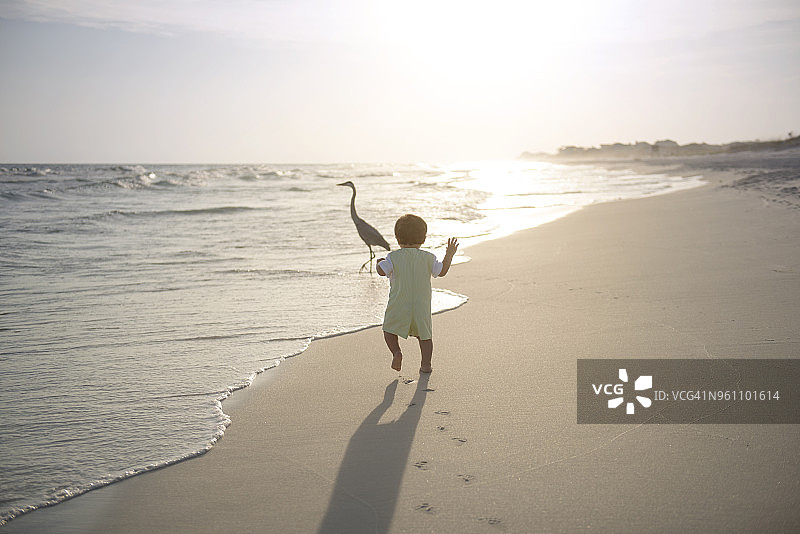 日落时分，男孩在海滩上追逐苍鹭图片素材
