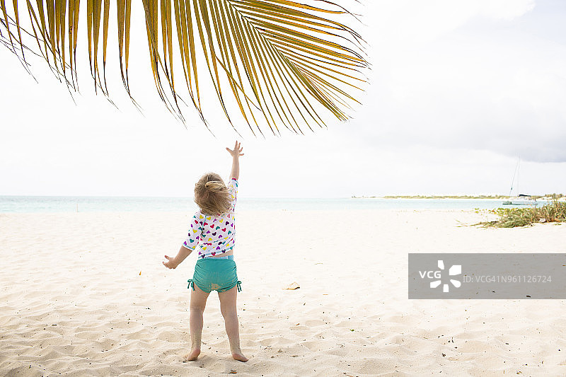 女孩在海滩伸手摘棕榈叶的背影图片素材
