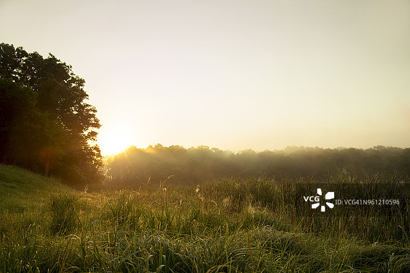 日落时分晴空下的绿草地图片素材