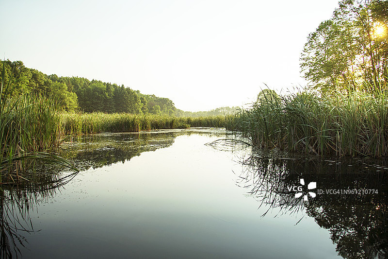 晴天树木湖泊风光图片素材