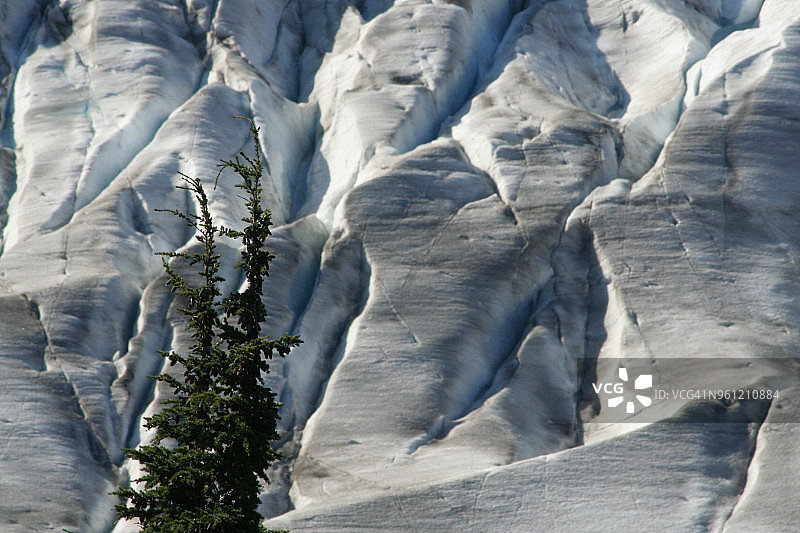 三文鱼冰川图片素材