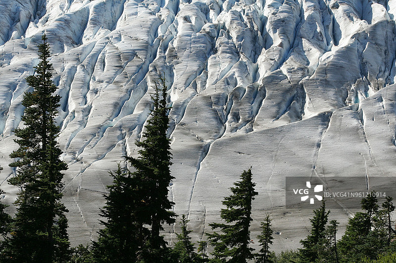 三文鱼冰川图片素材