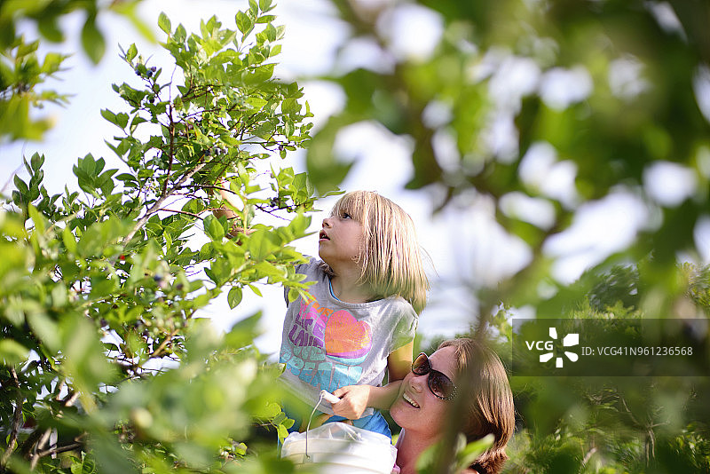 母亲抱着女儿在农场从树上采摘蓝莓图片素材