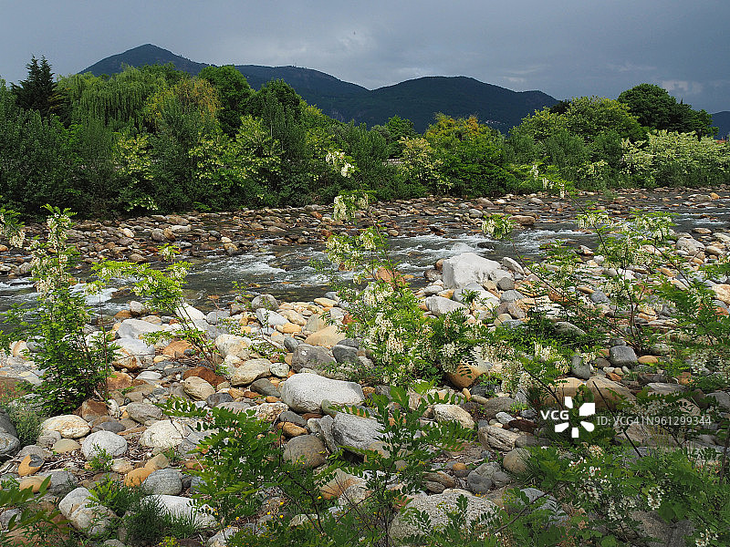 卡诺比纳山谷河岸边的刺槐图片素材