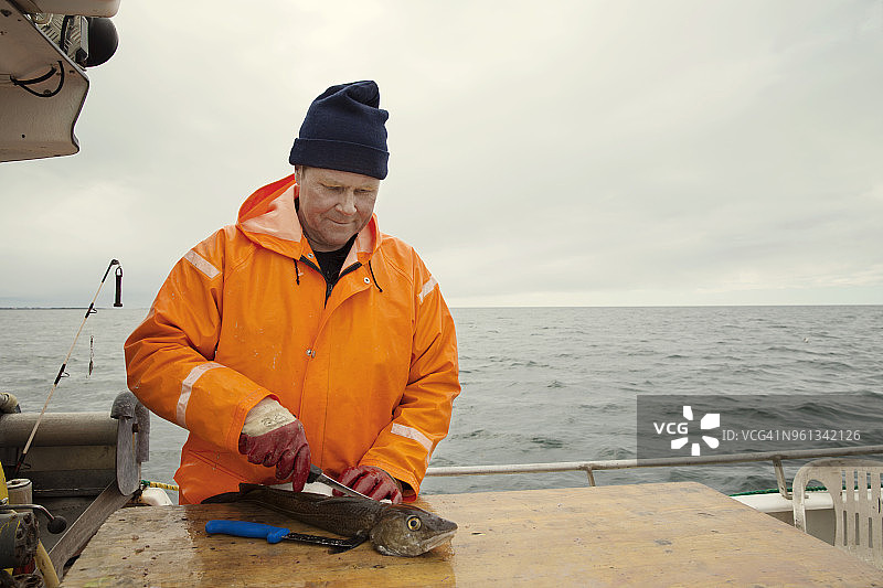身穿橙色防护服的渔民在船上切鱼图片素材