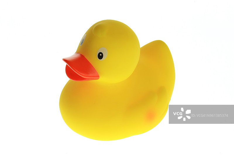 白色背景上的小黄鸭图片素材