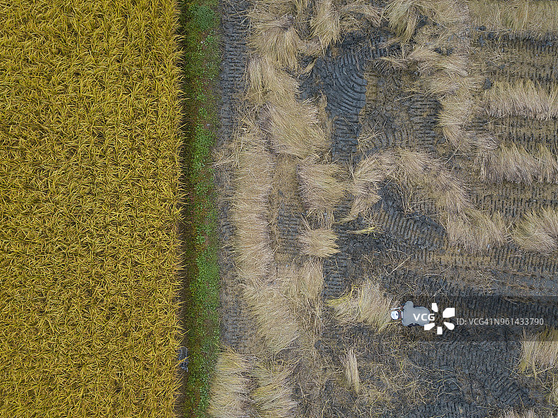 亚洲韩国航拍俯瞰农民稻田劳作图片素材