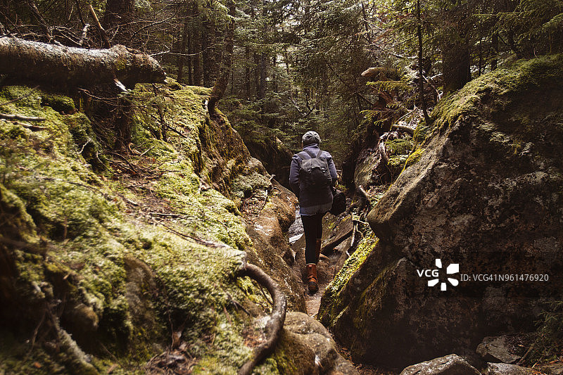 在森林中苔藓覆盖的岩石中行走的女子背影图片素材