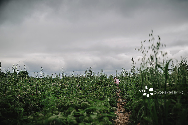 男孩在农场采摘植物，背景是多云的天空图片素材