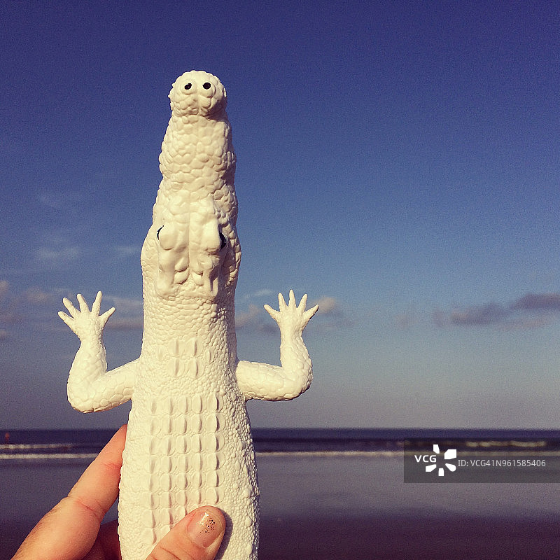 在海滩上手持白色塑料鳄鱼玩具的女人图片素材