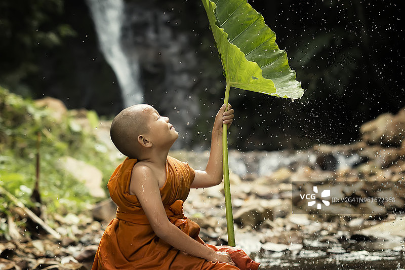 清新自然中的沙弥图片素材