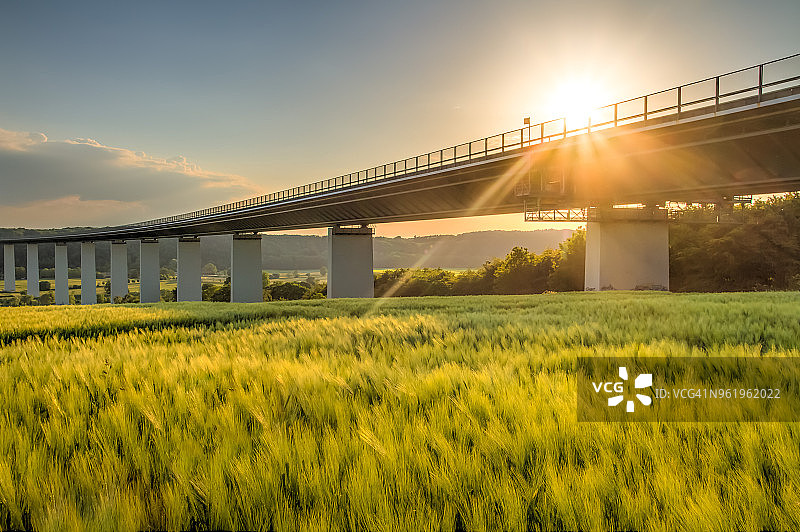 春季大麦田图片素材