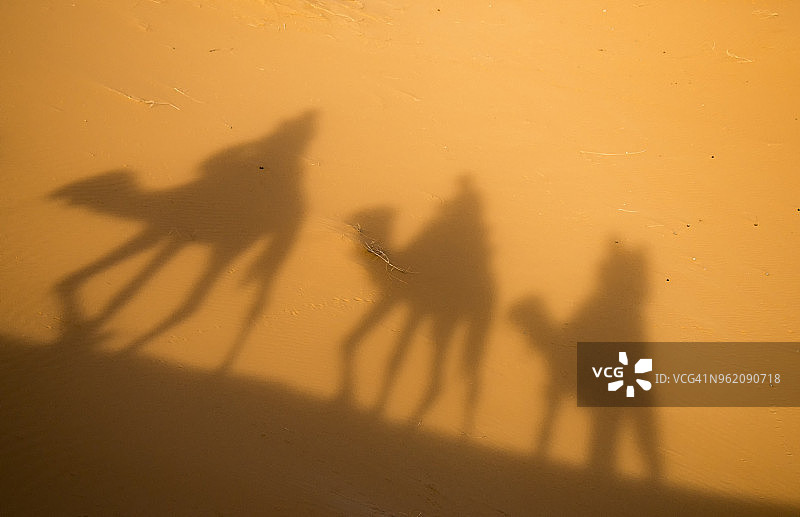 摩洛哥梅尔祖卡附近撒哈拉沙漠中骆驼队的影子图片素材