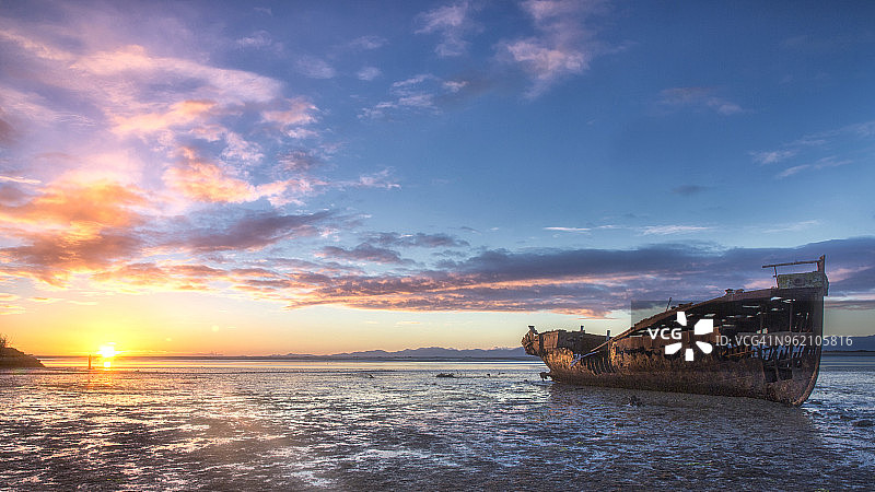 珍妮·塞登图片素材